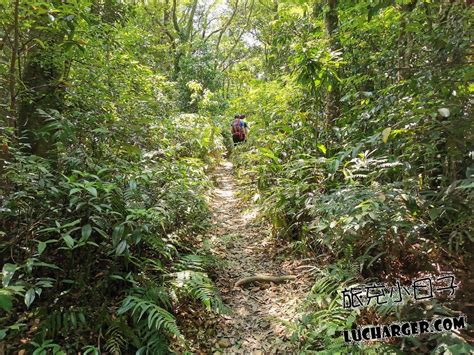 【新北景點】石碇區︱鱷魚島觀景平台 旅充小日子