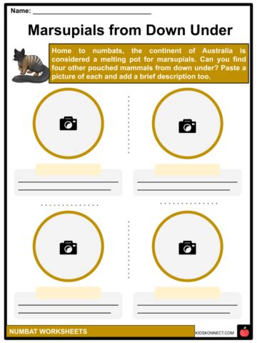 Numbat Habitat, Conservation, Diet, Facts, and Worksheets for Kids