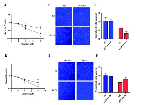 Knockdown Of LIFR AS1 Increased Cellular Sensitivity To Cisplatin A