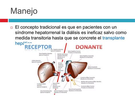 Síndrome Hepatorrenal Ppt