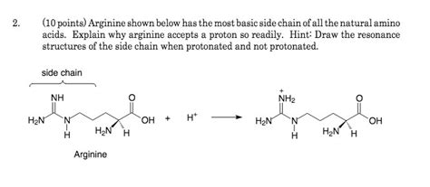 Arginine Resonance Structures Brain Mind Article