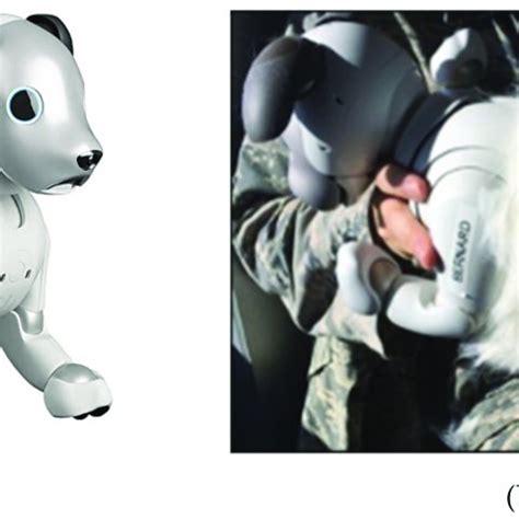 (a) Sony Aibo ERS-1000 without the fur; (b) Aibo outfitted with a fur ...