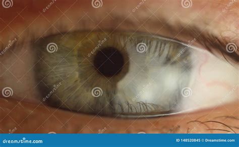 Primer Masculino Del Ojo Del Centelleo Que Mira Alrededor Arteria Roja