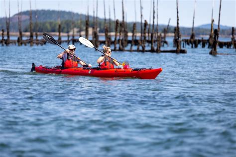 Bay Of Fundy Adventures Explorenb Tourism New Brunswick