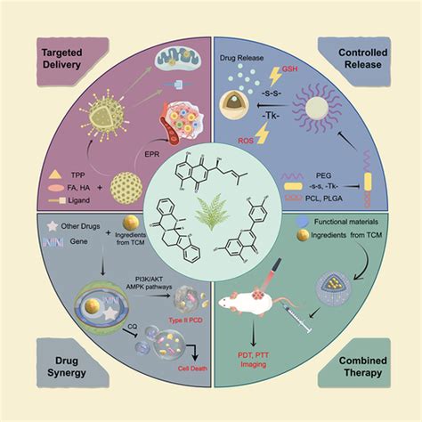 Full Article Exploiting Nanotechnology For Drug Delivery Advancing