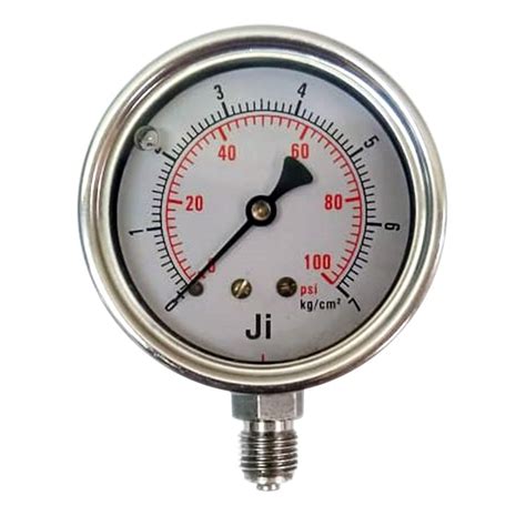 4 Inch 100 Mm Ji Japsin Instrumentation JI EPG Economical Pressure