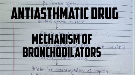 Mechanism of action for Bronchodilator || Beta 2 Agonist ||Anticholinergic agents ...