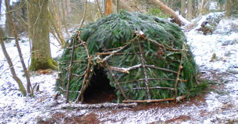 This Survivalist Demonstrates How To Build A Shelter In Any Environment