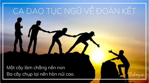 Các tục ngữ nói về tinh thần đoàn kết truyền cảm hứng và ý nghĩa