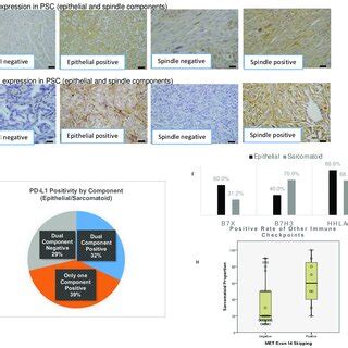 Patient characteristics by expression of immune checkpoints. | Download ...