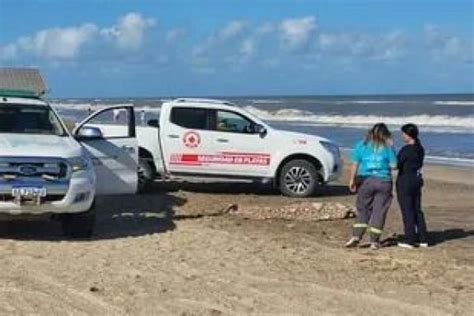 Encontraron Muerto En Pinamar A Un Chico De 15 Años Que Desapareció En Mar De Ajó Anr