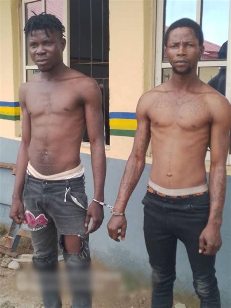 Police Arrest Two Suspected Cultists In Ogun