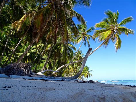 Dominican Republic On The Beach