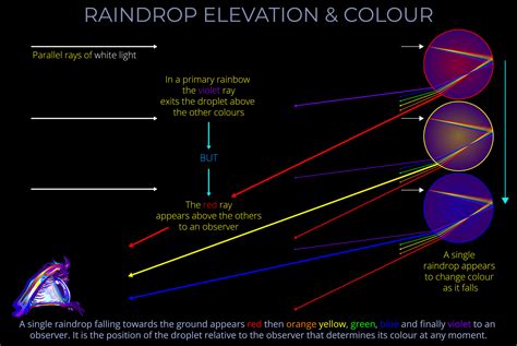 Lightcolourvision Org Lightcolourvision Org