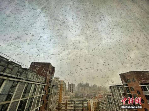 大风沙尘泥雨雷电齐现身，北京下“泥雨”了 搜狐大视野 搜狐新闻