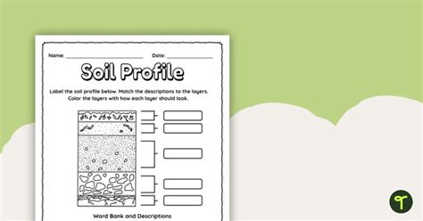 Label a Soil Profile – Worksheet | Teach Starter - Worksheets Library