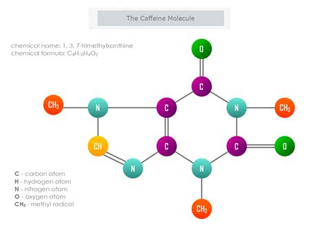 The Caffeine Molecule Template | MyDraw