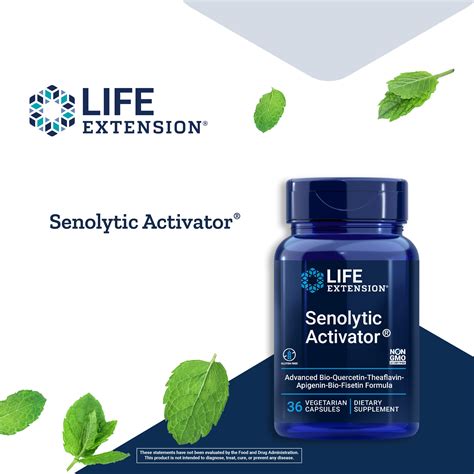 Buy Life Extension Senolytic Activator With Quercetin Fisetin