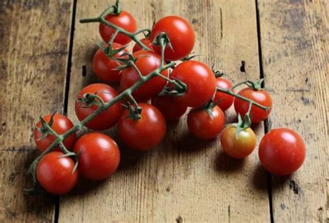Томаты черри: описание лучших сортов вкусных помидоров