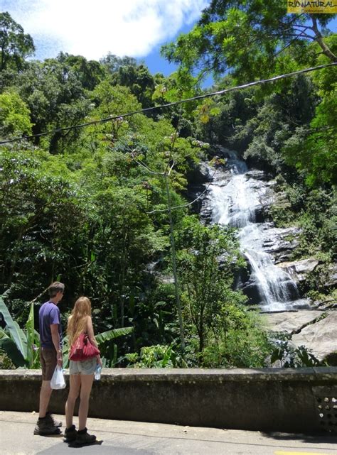 Hiking Tours to Tijuca Forest National Park, Tijuca Peak, Rio de ...