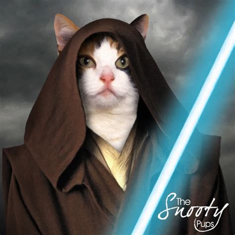 Star Wars Cat Costumes