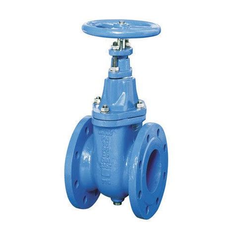 VTC Cast Iron Gate Valve End Connection Flange Size 100 Mm At Rs