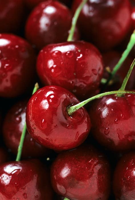 Royalty Free Photo Red Cherry Fruit Lot Pickpik