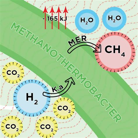 Full Article Biological Hydrogen Methanation Systems An Overview Of