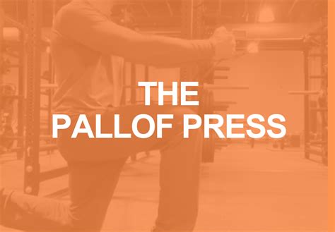 pallof press personal trainer today