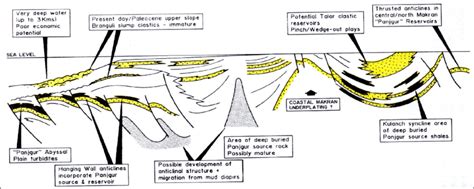 Geological Cross Section Across The Balochistan Basin 5 Download