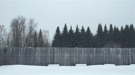 Backyard Snow Fall New Sweden Maine Brian Allen Flickr