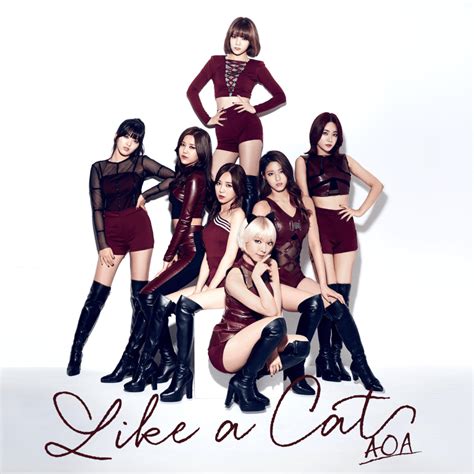 Aoa Like A Cat Japanese Ver Lyrics And Tracklist Genius