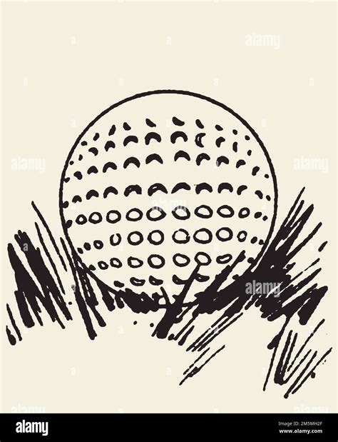 Golf Ball Vector Illustration On White Background A Vector