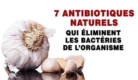 Antibiotiques Naturels Qui Prot Geront Votre Corps Contre Les