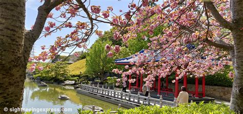 Daisen Park Japanese Garden Photos - Osaka, Japan