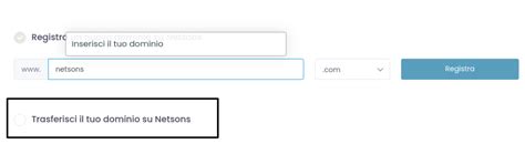 Come Trasferisco Un Dominio Da Register A Netsons Domande Frequenti
