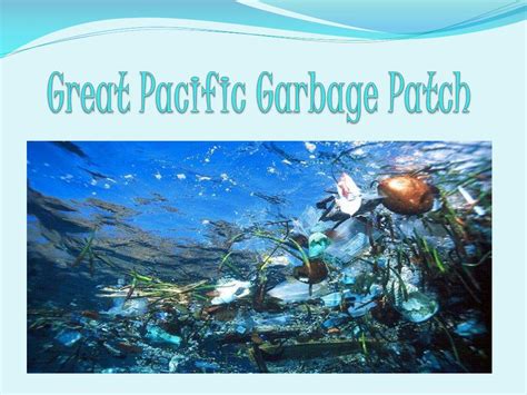 PPT - Great Pacific Garbage Patch PowerPoint Presentation, free download - ID:2654059