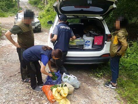 동부지방산림청 불법행위 특별 단속 나서 한국영농신문