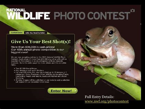 National Wildlife Photo Contest 2009 Winners