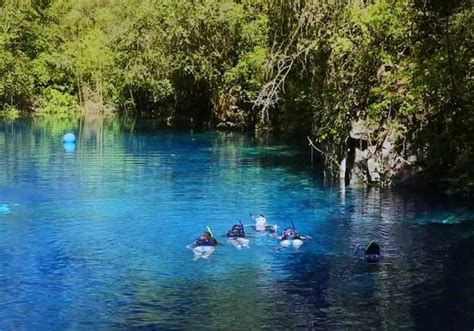 Lagoa Misteriosa Bonito Ms Flutua O E Mergulho