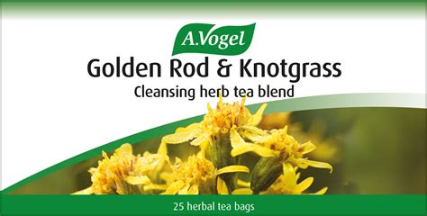 Herbal Tea From Avogel Contains Solidago Goldenrod Birch And Other