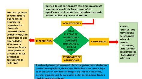 Peru Birf Y El Curriculo Nacional Definiciones Del Perfil De Egreso