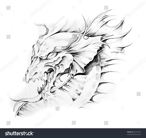 Sketch Tattoo Art Dragon Head Stock Illustration 64372597 | Shutterstock