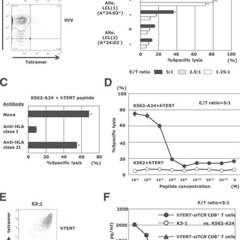 Htert Sitcrtransduced Cd8 1 T Cells Display Epitope Specific