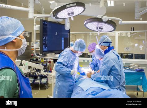 Examen Cardiovasculaire Banque De Photographies Et Dimages Haute