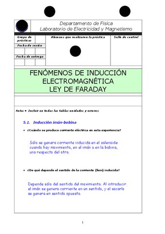 Practica Faraday Con Solucion Pdf