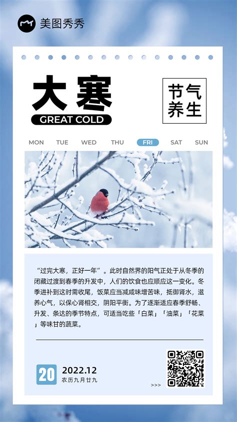 简约冰雪秋冬实景大寒时节养生知识科普手机海报 美图设计室