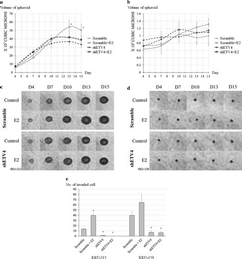 In Vitro Effect Of Estrogen On Tumorigenesis Properties Of