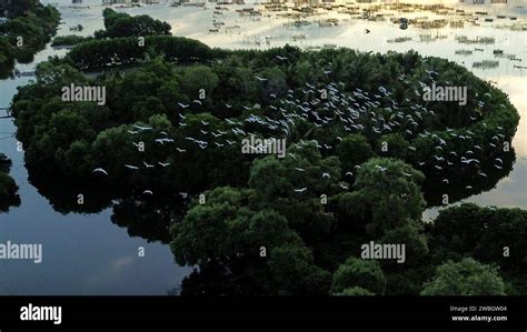 P Kin Chine Janvier Cette Photo De Drone A Rienne Prise Le