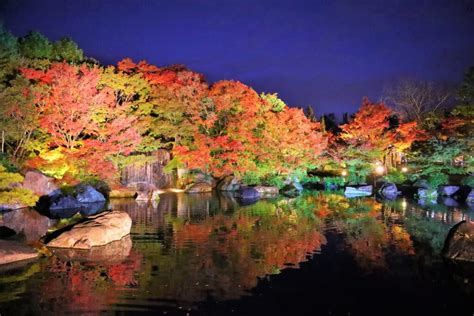 【2024年 イベント】姫路城 西御屋敷跡庭園『好古園』で圧巻の絶景紅葉🍁💫ライトアップが幻想的😊 〜 祈りログ